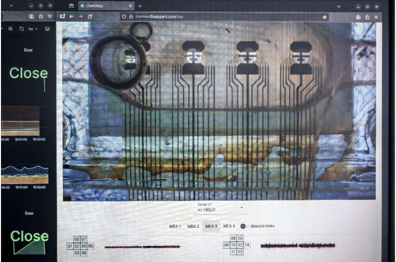 替代GPU？终结摩尔定律？详解生物计算：用人脑造电脑图3