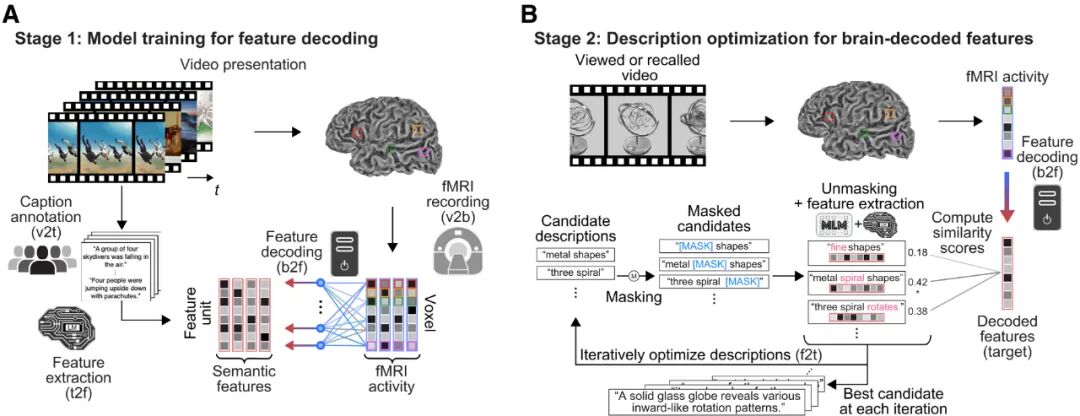 前沿 | “心灵字幕生成”:人工智能解码大脑活动,将想法转化为文字图2
