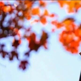 小米2025年Q3财报：净利润暴增80.9%，汽车业务首次单季盈利