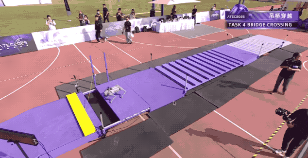 机器人集体到香港户外极限挑战，狗比人强图8