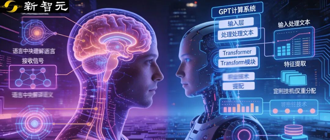 GPT在模仿人类？Nature发现：大脑才是最早的Transformer！图1