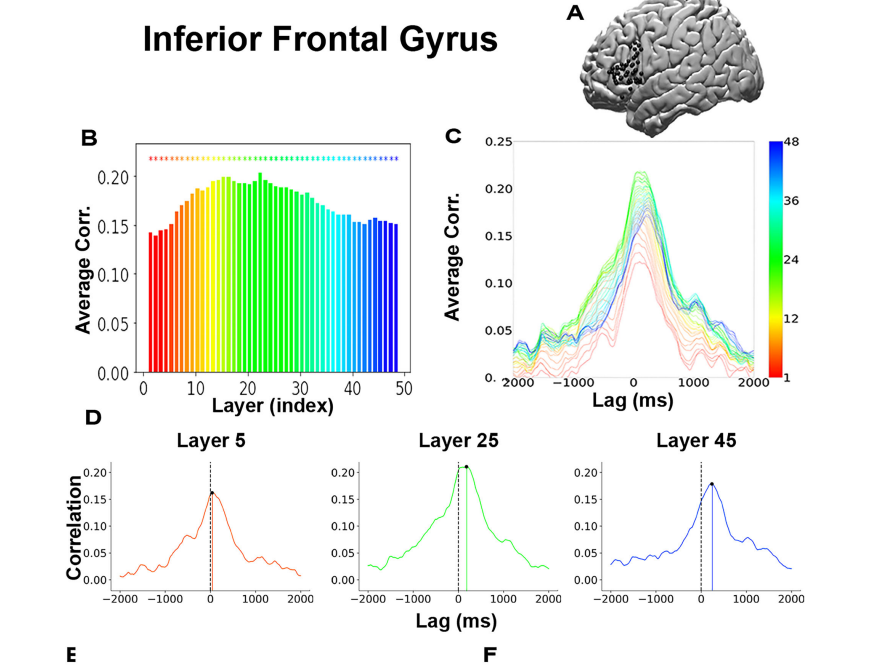 GPT在模仿人类？Nature发现：大脑才是最早的Transformer！图8