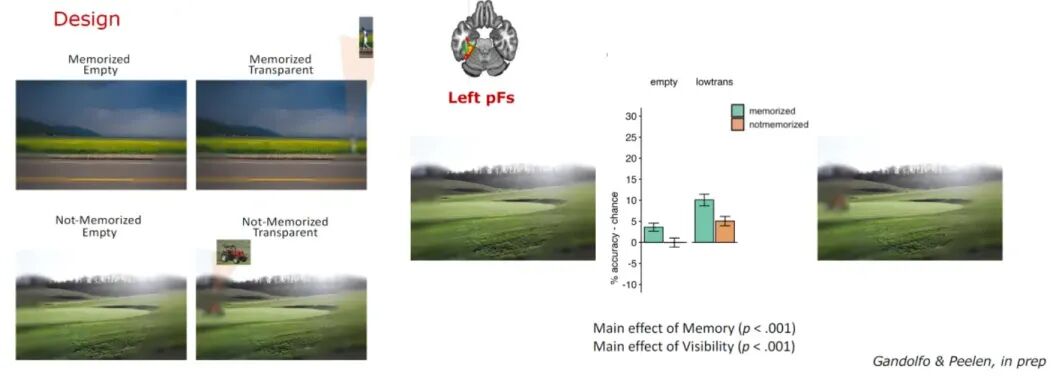 Marius Peelen:看与思——基于近期视觉认知神经科学的证据图5