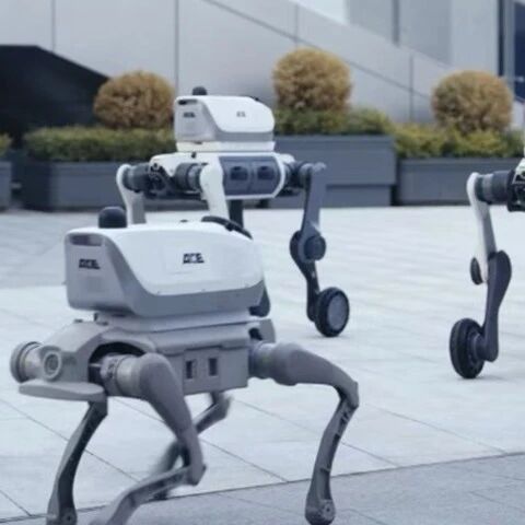 王晓刚和他的「世界模型」：一人管十狗，先让四足机器人上街干活丨36氪专访