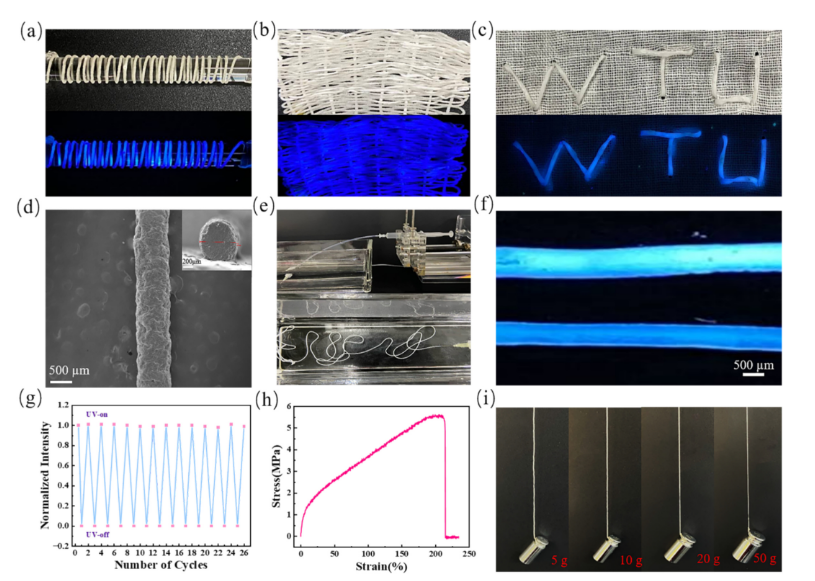 Chem Eng J :基于 Eu-MOF@碳纤维的双模式荧光/电化学传感器用于 Al&sup3;⁺ 与 pH 检测图8