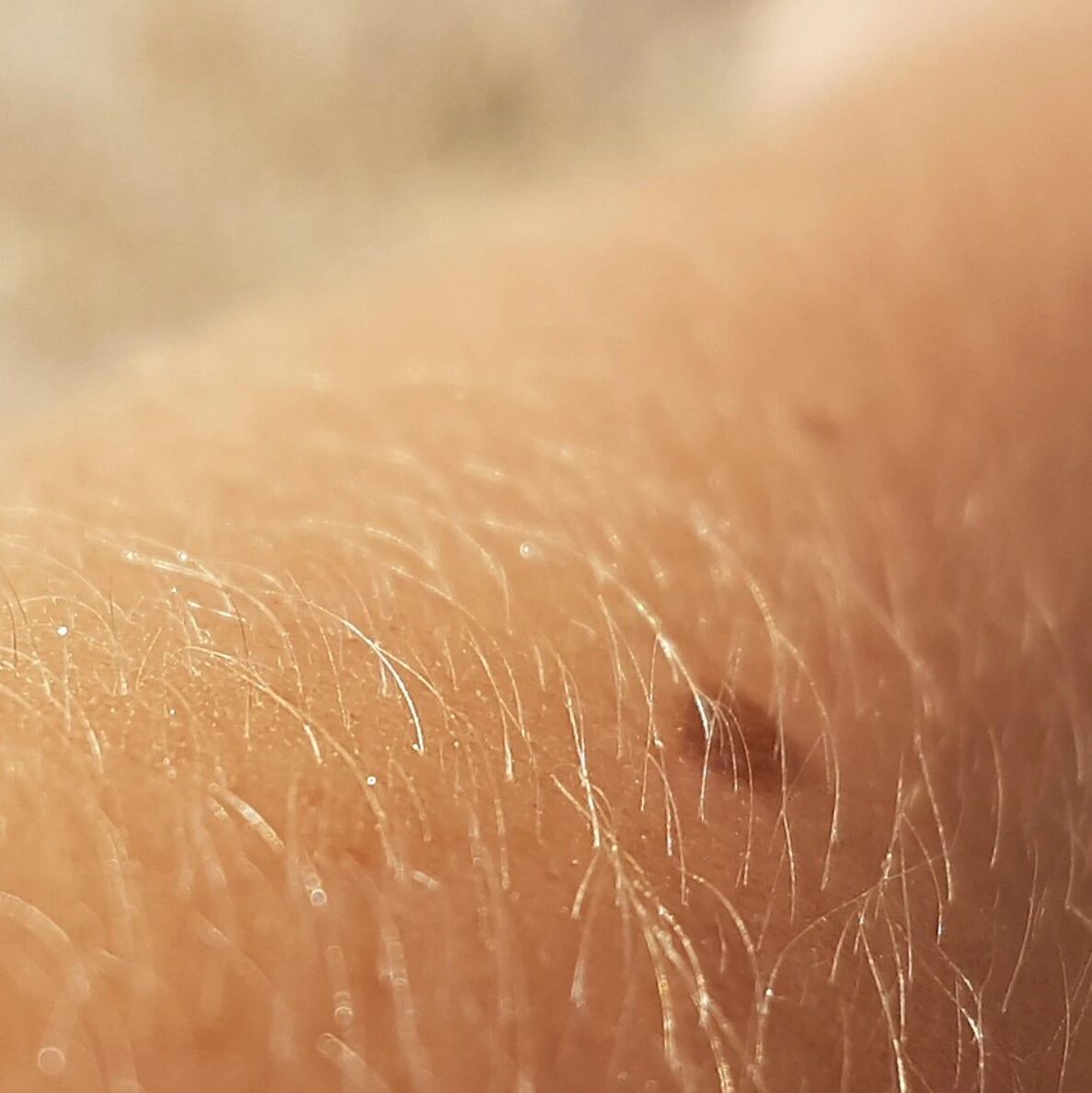 机器人有了“皮肤”触觉