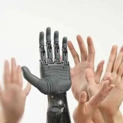 杭报专访丨既能攀登科技高峰，又能滋养人间烟火