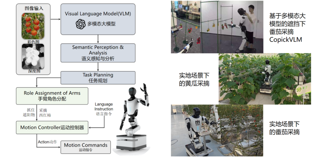 从实验室到田间地头：采摘机器人打破“失灵魔咒”，成为农户新宠？图7