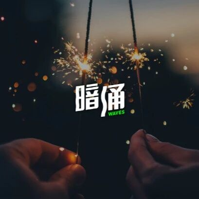 王淮：只有两扇通往AI未来的门，一扇在美国一扇在中国丨2025尾声