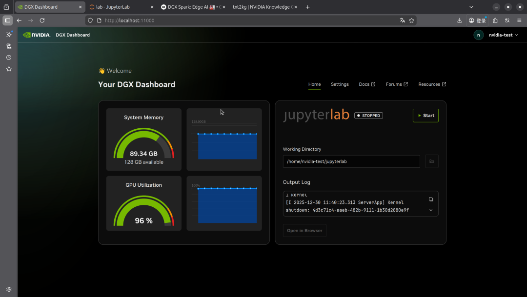 体验英伟达 AI 个人超算「核弹」DGX Spark，能微调出 DeepSeek R2 吗图10