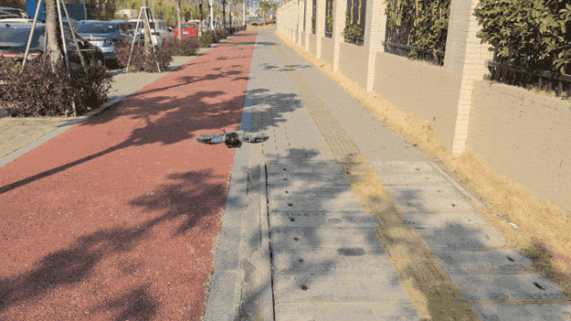 151克、手势起飞、自动跟拍…这台无人机凭什么让人用上瘾？图8