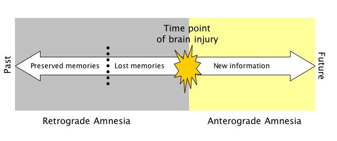 Transformer已死？DeepMind正在押注另一条AGI路线图10