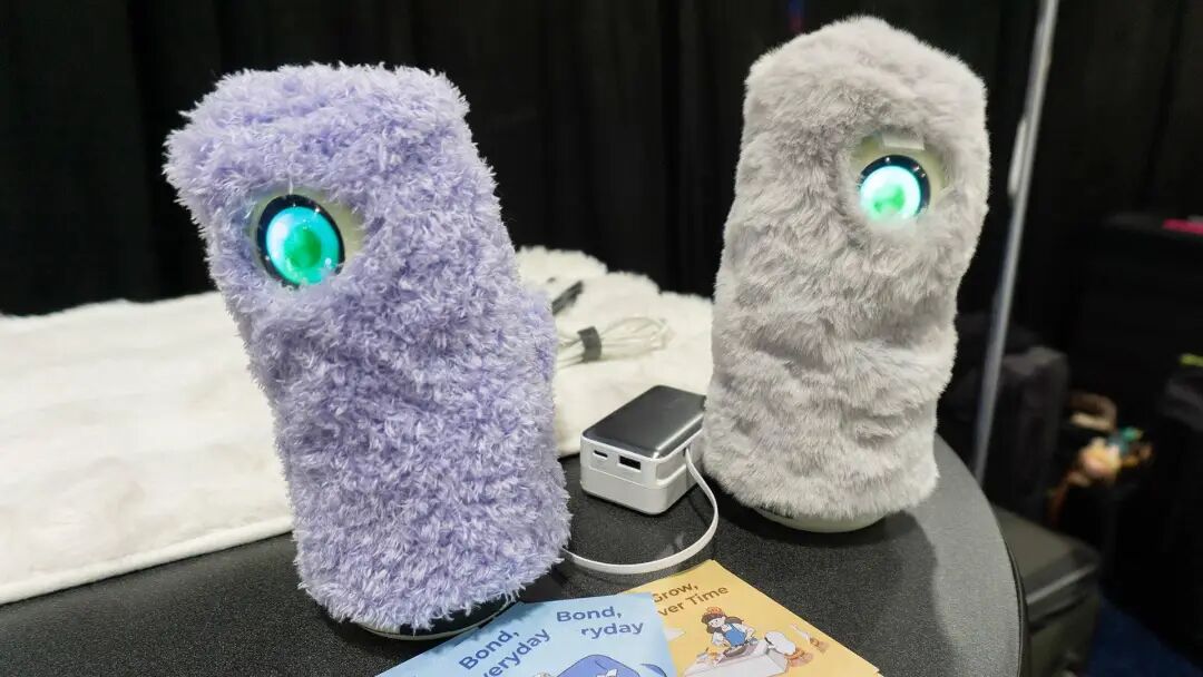 逛完CES 2026我绷不住了，AI产品一个比一个抽象，简直是华强北年度述职大会图12