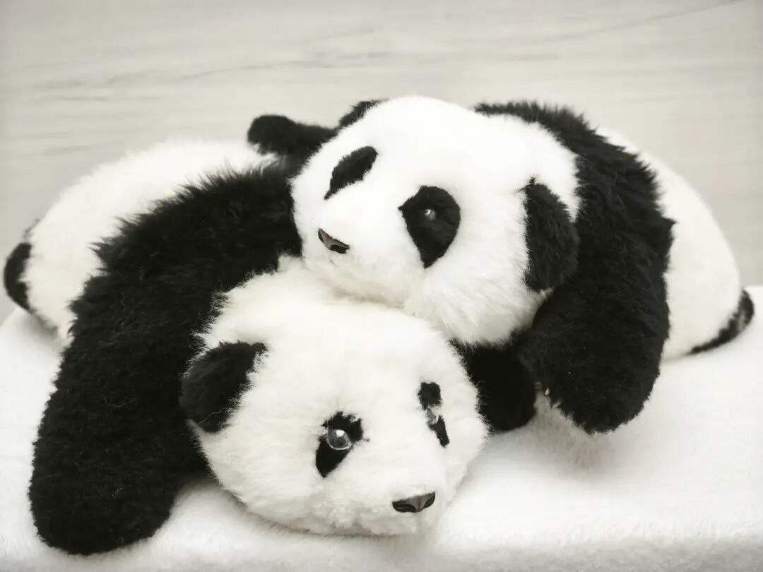 逛完CES 2026我绷不住了，AI产品一个比一个抽象，简直是华强北年度述职大会图30