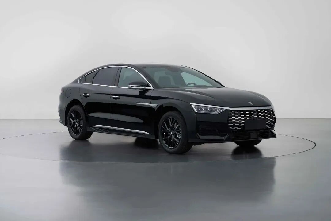 重磅!比亚迪第五整车品牌曝光图1