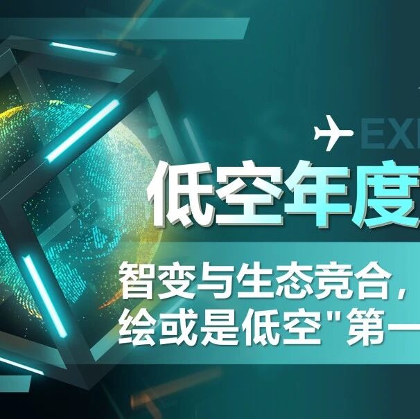 智变与生态竞合，巡检测绘或是低空"第一桶金” | 低空年度专题 No.02