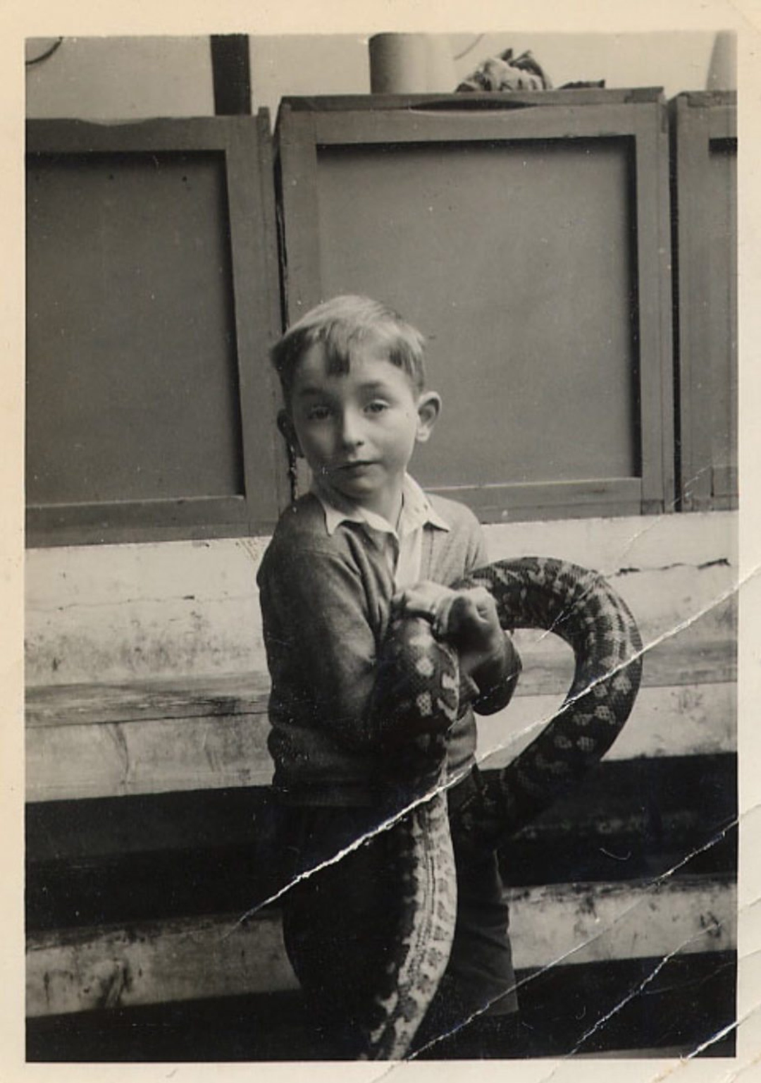 刚刚，Geoffrey Hinton成为第二位引用量破百万的科学家图3