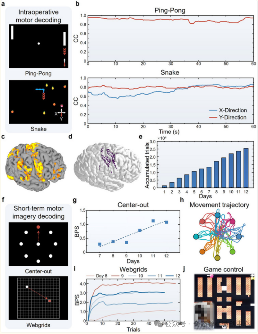 学术前沿 | 复旦大学、中国科学院大学、上海脑虎科技合作开发用于实时运动解码的长期稳定、高分辨率微创皮层脑机接口图6