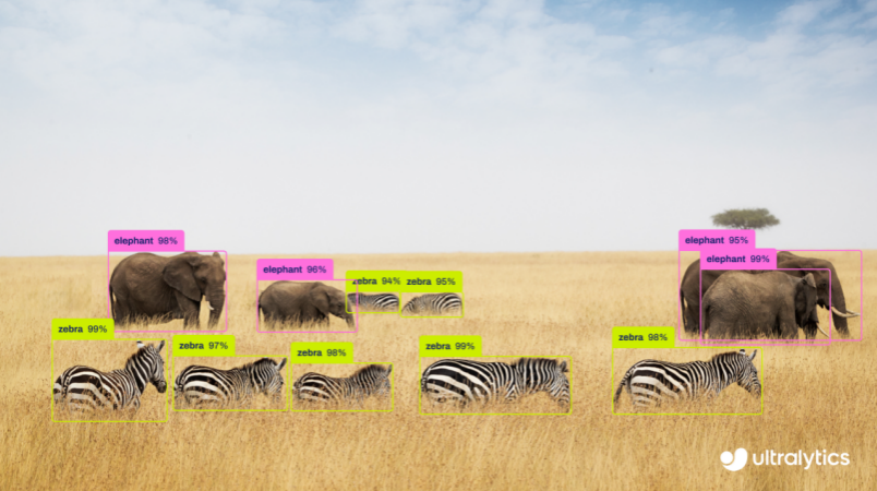 YOLO26 正式发布：面向边缘视觉 AI 的新一代模型图3