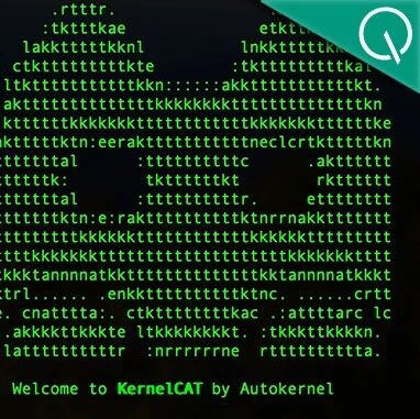 天下苦CUDA久矣，又一国产方案上桌了