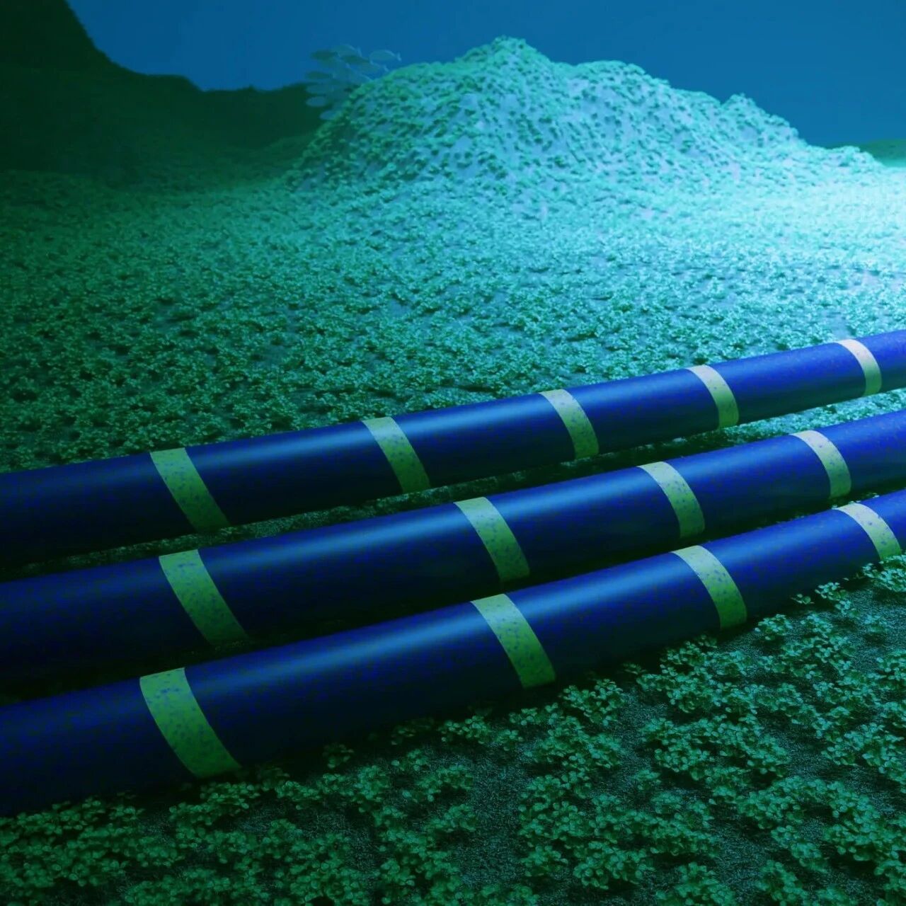 Omdia：2025年第三季度，海底光电子市场增长32.5%，PTC’26彰显向网状网络架构转型趋势