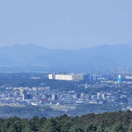 台积电董事会移师日本！