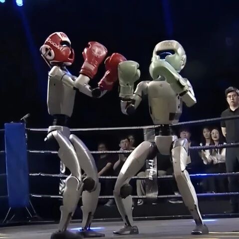 全球首个，人形机器人格斗联赛来了