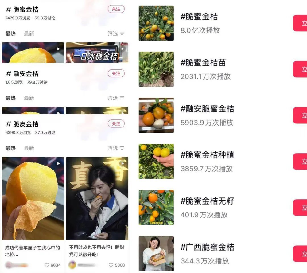 字节英伟达都在给员工发这个&ldquo;最有面的中产水果&rdquo;？图5