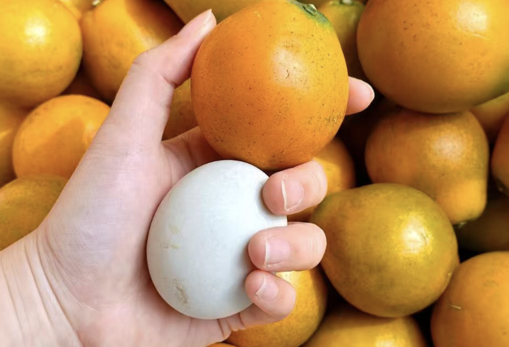 字节英伟达都在给员工发这个&ldquo;最有面的中产水果&rdquo;？图7