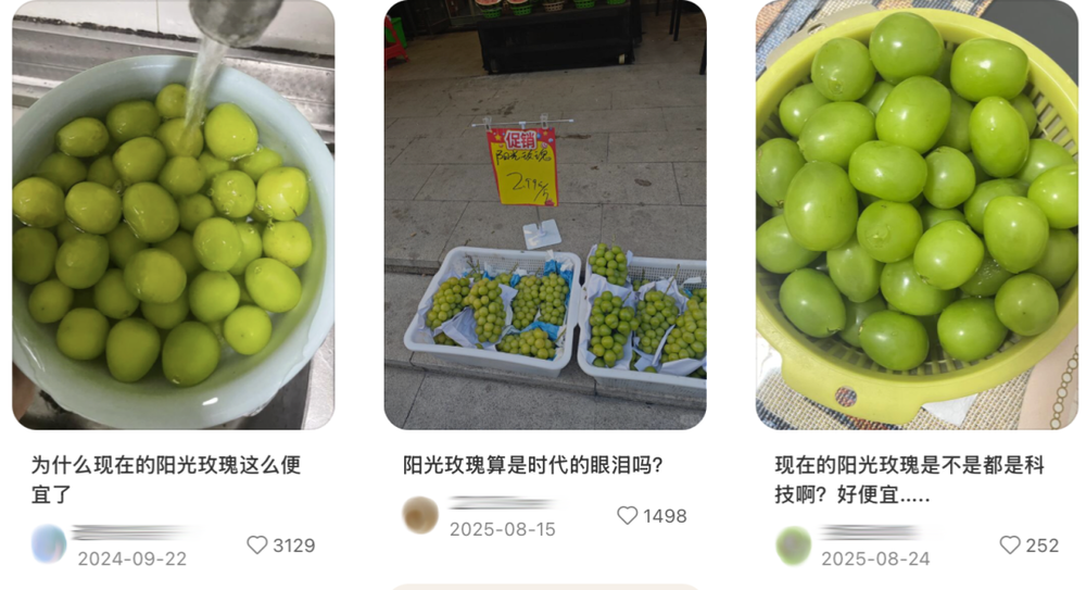 字节英伟达都在给员工发这个&ldquo;最有面的中产水果&rdquo;？图9