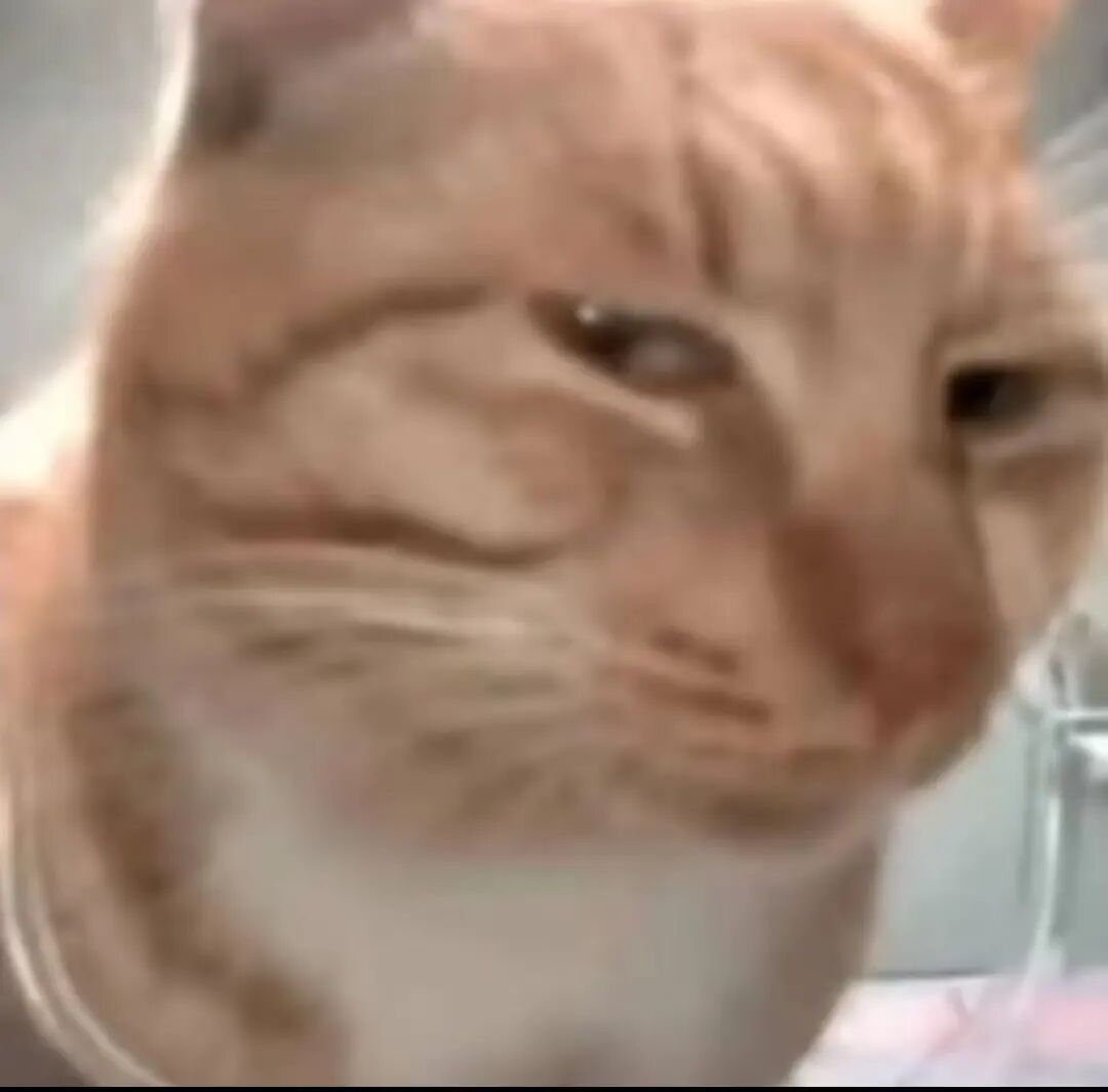 智谱开源OCR！测完我把手机里的扫描软件都卸了......图3