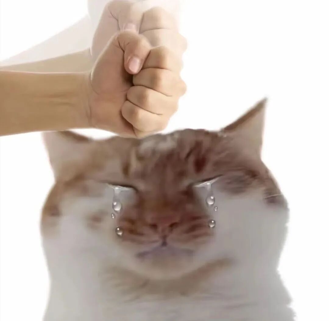 智谱开源OCR！测完我把手机里的扫描软件都卸了......图9