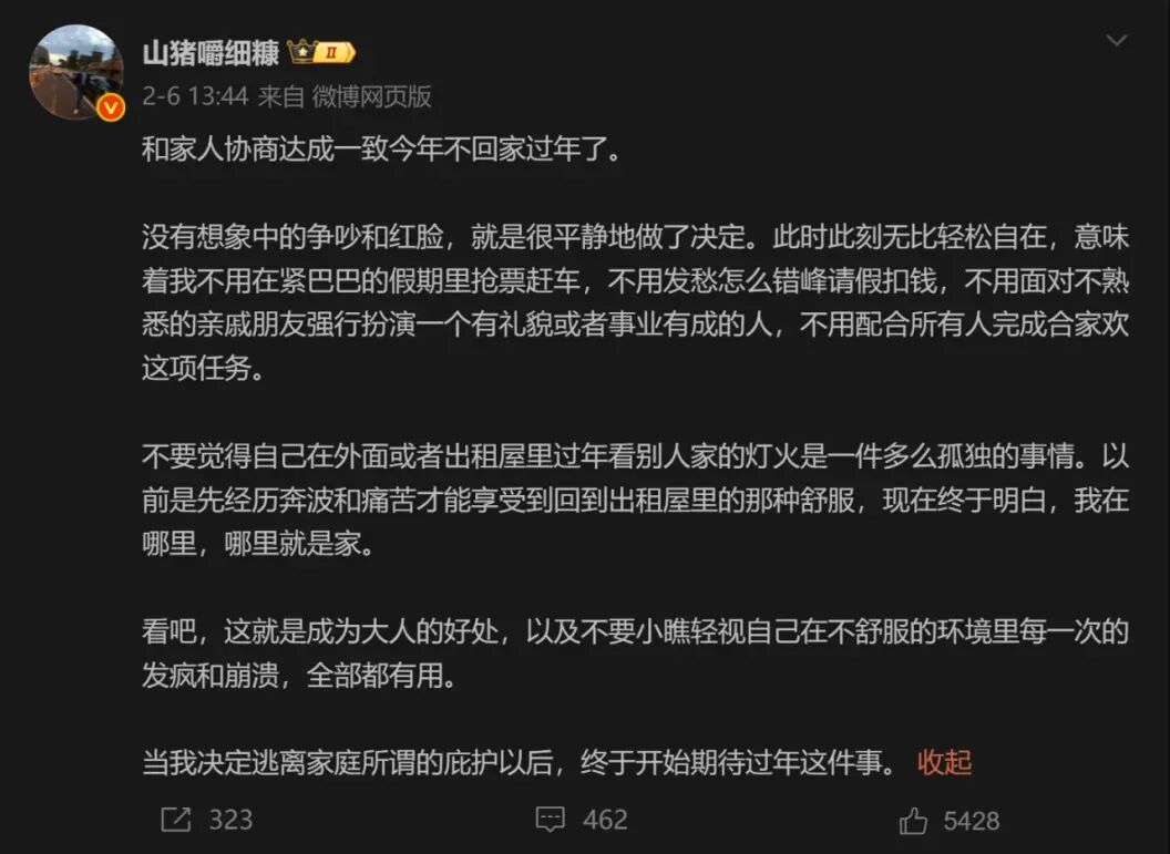 一大批年轻人，开始「反向过年」图11