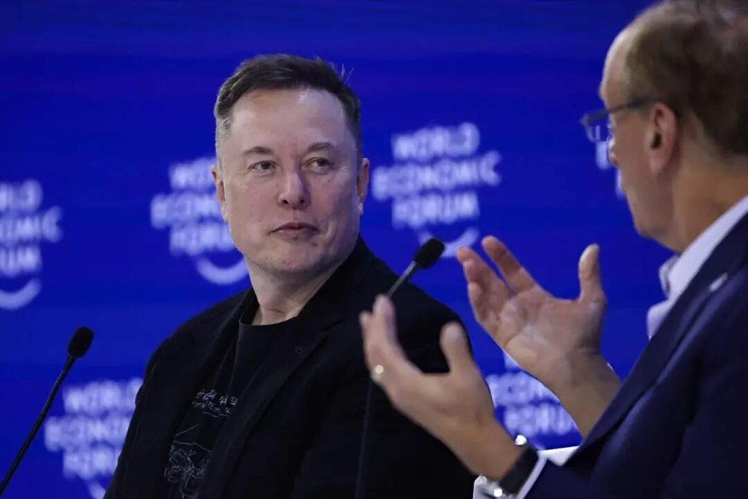 FSD入华是狼，那谁是待宰的羔羊？图4