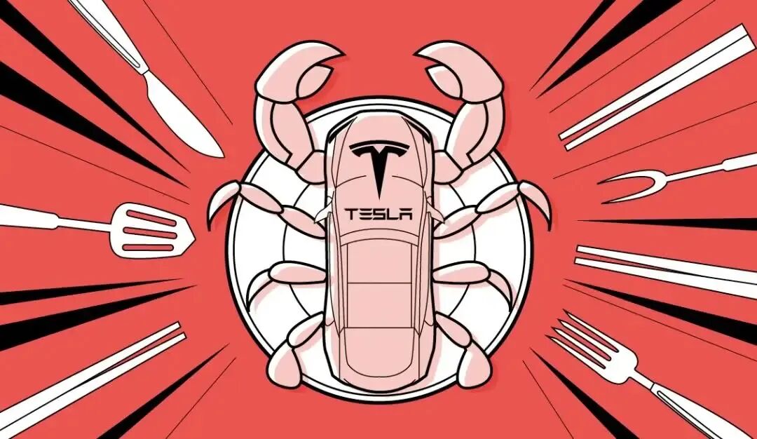 FSD入华是狼，那谁是待宰的羔羊？图7