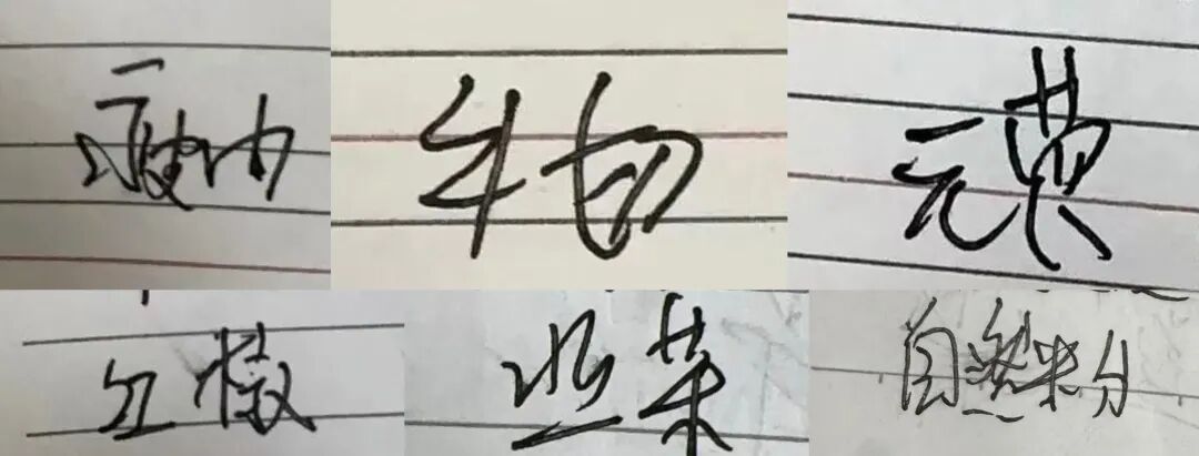 Agent、图像、视频全是大版本升级：春晚还没开，豆包AI就火了图9