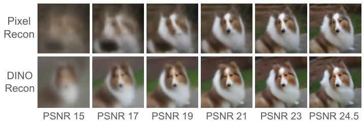 李飞飞团队新作：简单调整生成顺序，大幅提升像素级图像生成质量图2