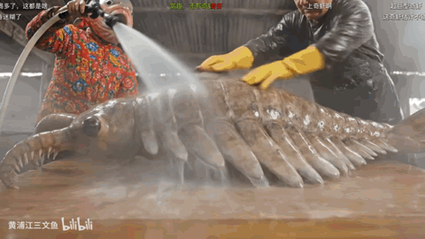 碳基生物第一次看硅基春晚，有什么要注意的？图13