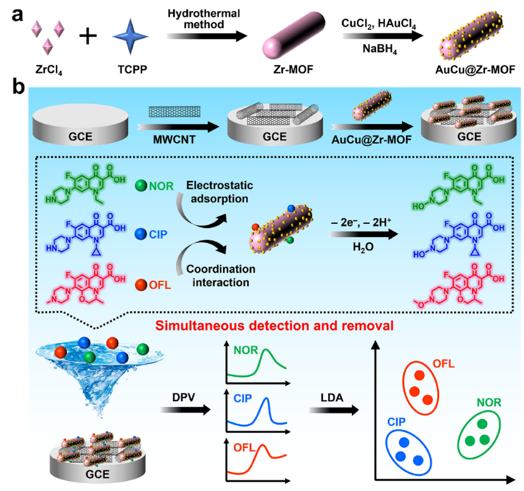 J Clean Prod:基于双金属共掺杂MOF复合材料的机器学习辅助电化学纳米传感器用于多种氟喹诺酮类抗生素的同时检测与去除图4
