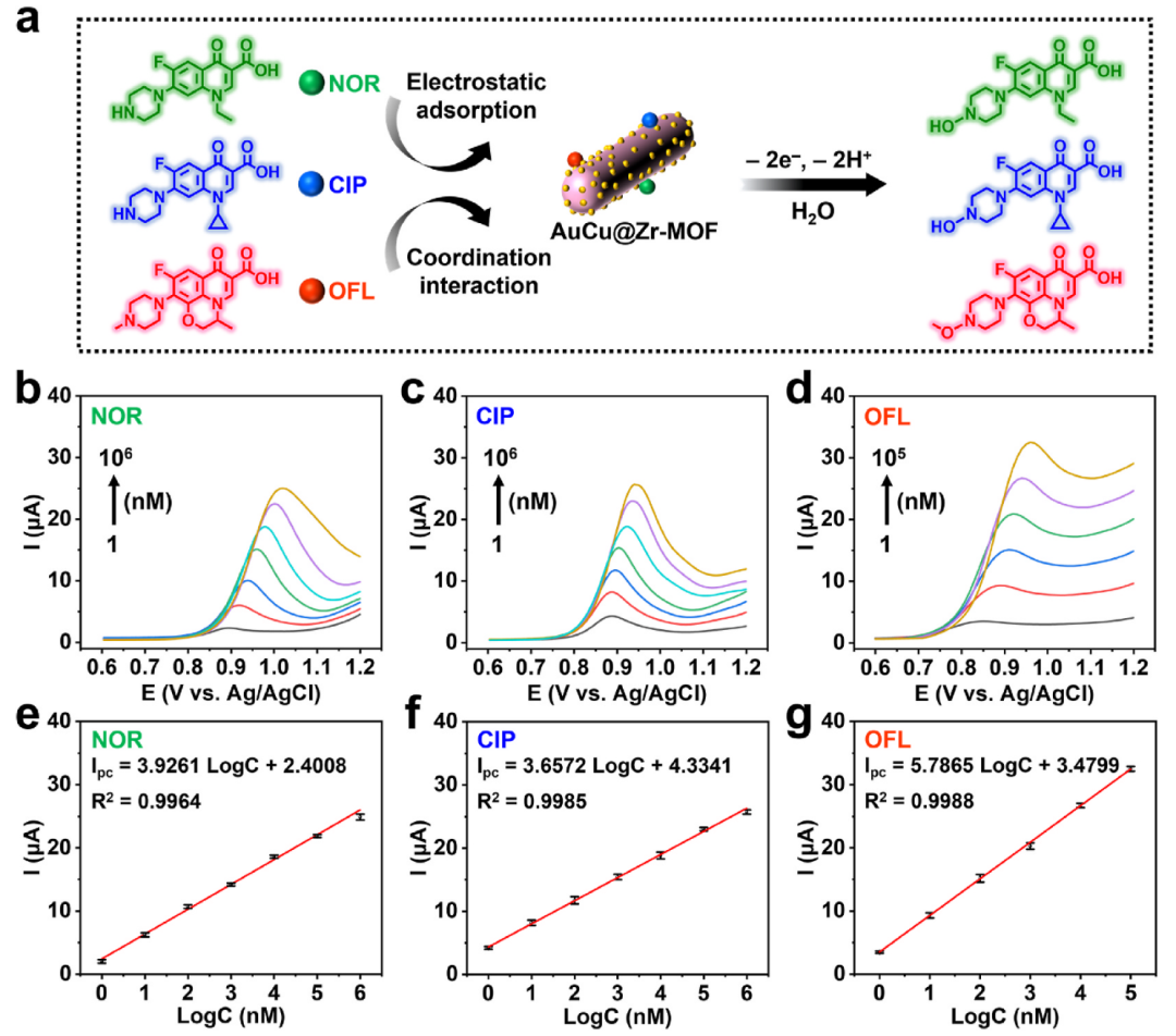 J Clean Prod:基于双金属共掺杂MOF复合材料的机器学习辅助电化学纳米传感器用于多种氟喹诺酮类抗生素的同时检测与去除图9