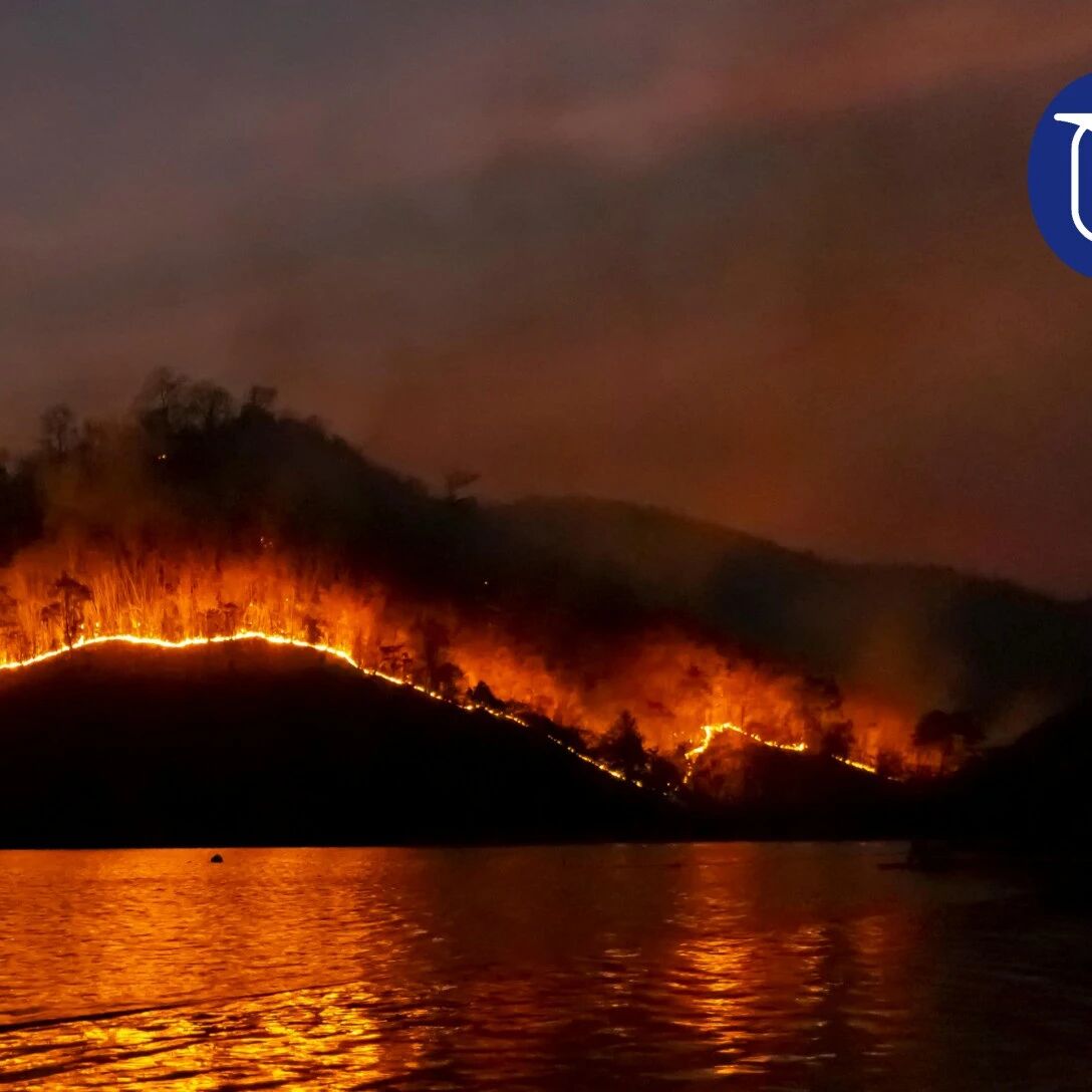 2028年全球智力危机：当人类智力不再稀缺，中产阶级的黄昏到来？