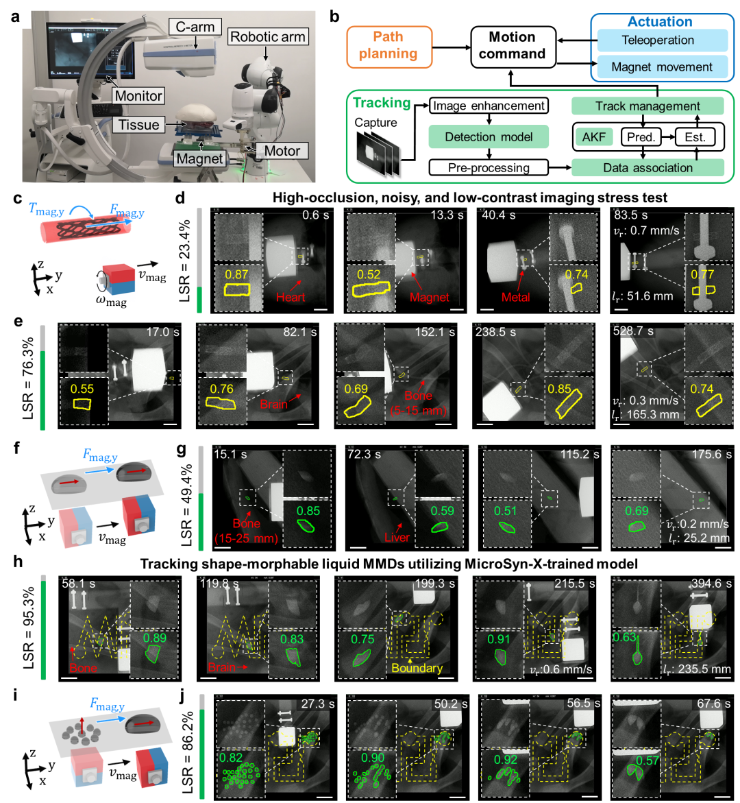 Nature子刊：攻克医疗器械「看不清」难题，赋予自动驾驶视觉图10