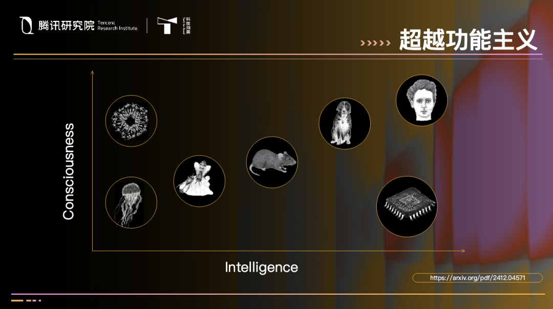 张江：人工智能的功能与意识，其实是两条不相交的平行线图5