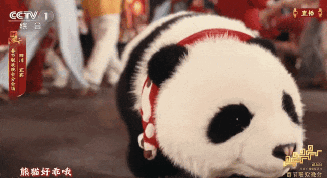 承包了春晚的4家机器人企业,都什么来头?图18