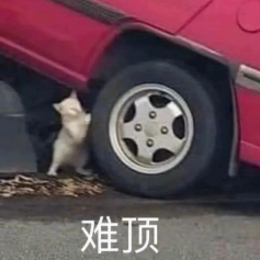 原来Grok是36个小时极限卷出来的！xAI创始成员离职后放开说了图1