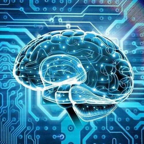 科普 | 功能评估、个性化治疗和构建脑机接口：脑卒中康复中常用的诱发电位有哪些？