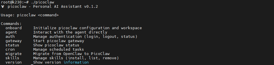 【K230新技能点亮】K230 养 “虾” 记！手把手教你部署 PicoClaw 轻量 AI 助手图4