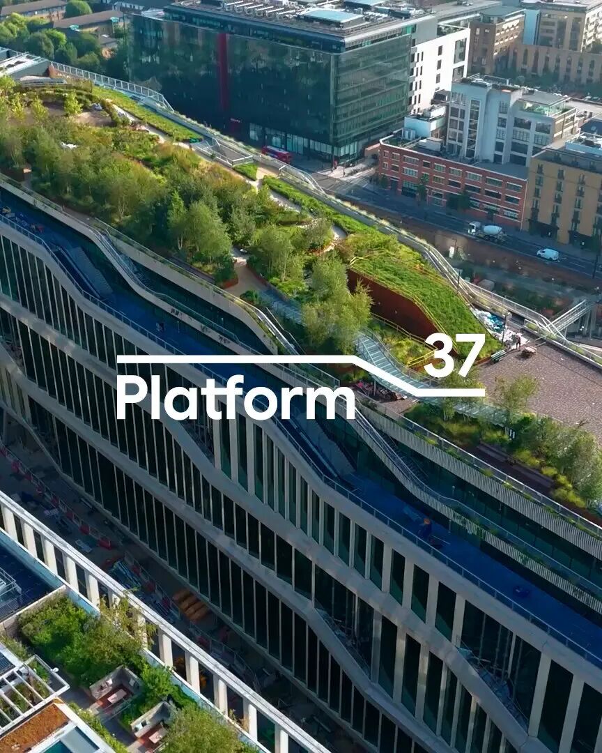 Agent 编程大战升级、Google 地图接入 Gemini｜AI 日报图1