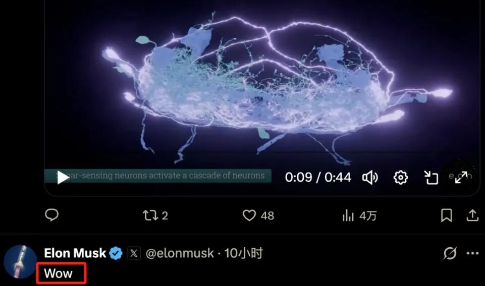 重大突破！世界上第一个“数字生命”，可能已经诞生图3