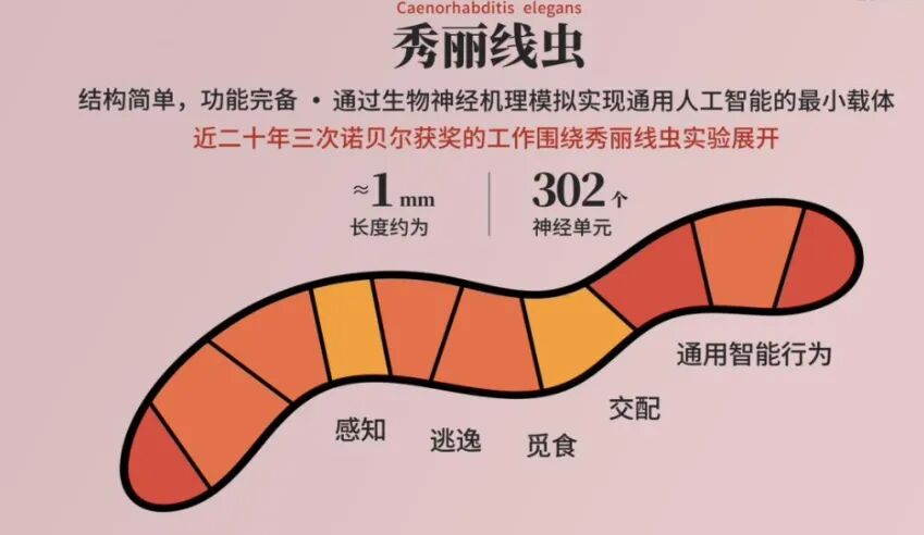 重大突破！世界上第一个“数字生命”，可能已经诞生图8